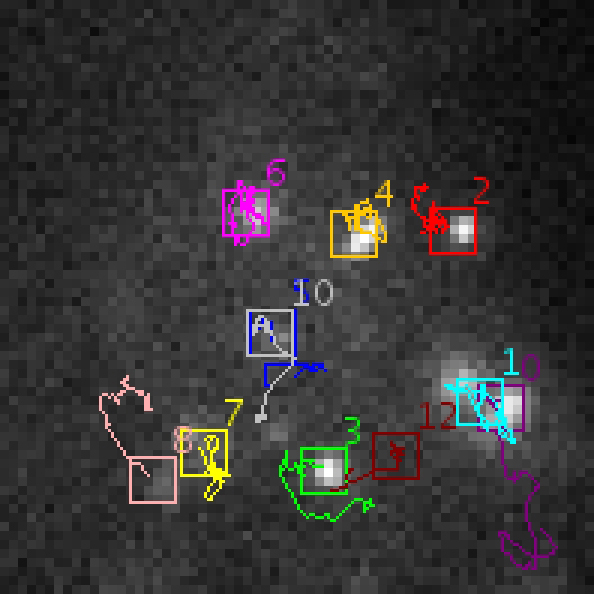 Particle Tracking Challenge